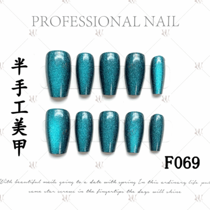 F069
